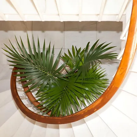 蒂比达博公寓酒店 巴塞罗那